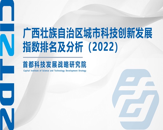 大鸡吧艹逼免费续视频【成果发布】广西壮族自治区城市科技创新发展指数排名及分析（2022）